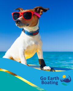 Dog on a surf board - Go Earth Boating