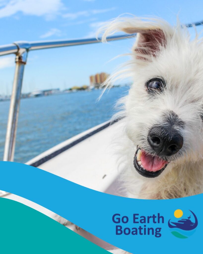 Dog on a yacht - Go Earth Boating