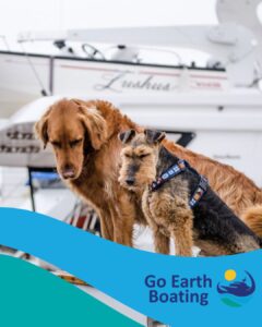 Dogs on a boat - Go Earth Boating